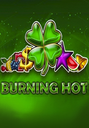 Burning Hot game cover